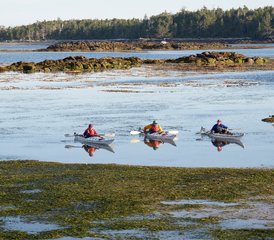 8 jours expédition kayak et faune à Bella Bella, Canada - Photo 4