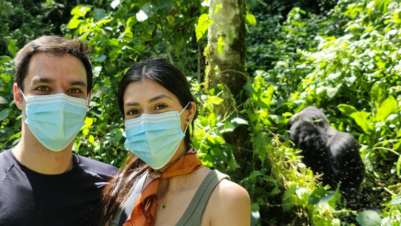 7 Day Gorilla and Chimpanzee Tracking in Queen Elizabeth NP, Kibale, and Bwindi in Uganda