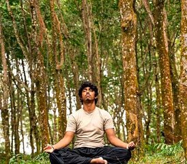 10 Jour Circuit de Détox et Yoga au Sri Lanka entre Nature, Santé, et Exploration - Photo 2