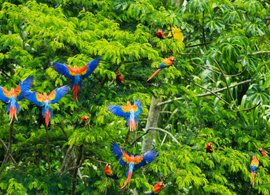 Amazone Retraites et Voyages