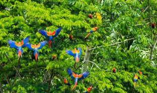 Amazone Retraites et Voyages