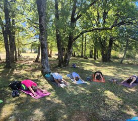 22 jours en stage de yoga, méditation, plantes et chamanisme dans le Var - Photo 1