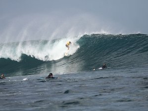 6 Day Incredible Surf Camp in Gijón, Asturias, Spain for All Levels