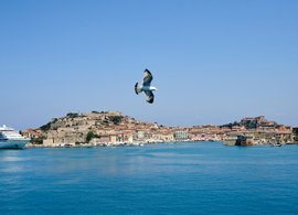 Elba Retreats und Reisen