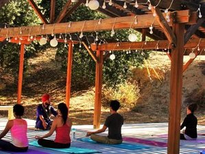 6 Day The Stillness Within: A Silent Sound Healing Journey in California, USA