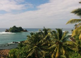 Mirissa Retreats & Trips