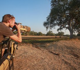 9-Daagse Spannende Fotografische Safari in South Luangwa, Zambia - Photo 5