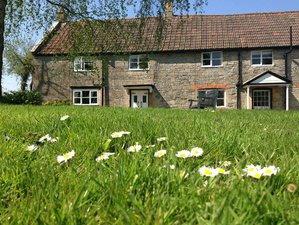 7 Days Detox and Yoga Retreat in UK