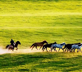 37 Tage Premium Geführter Reiturlaub in China: Pekinger Wahrzeichen, Graslandpfade und Reitkultur - Photo 1