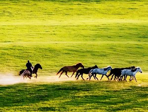 7 jours Premium China Escape : équitation guidée à Pékin, prairies et culture équestre, Chine