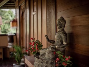 8 Day Silent Zen Meditation and Yin Yoga Retreat in Bali