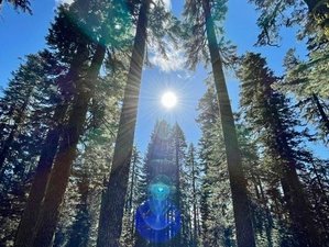 4 Day Arcturian Healing Retreat on Mount Shasta, USA with Nakura and Quantum Field Activations