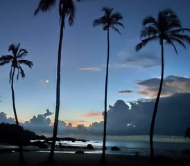 21 Day Forest Ashtanga / Hatha Yoga Retreat with Yoga Philosophy in Agonda, Goa, India - Photo 4