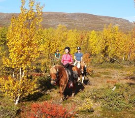 14 Tage Wohlfühl-Reiten in den Kebnekaise-Bergen - Photo 1