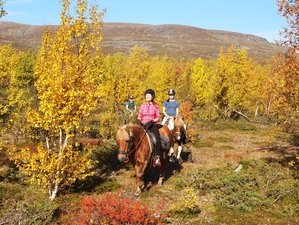 4 Day Feel Well on Horseback Riding Holiday in the Kebnekaise Mountains