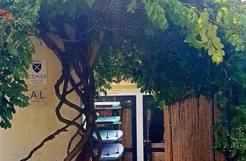 8 Day Private / Family Camp - Entire Private Surf House at Conde Surf Camp near Porto, Portugal
