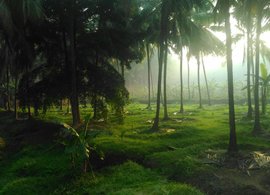 Palakkad Retiros y Viajes