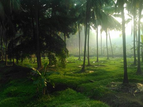 Palakkad