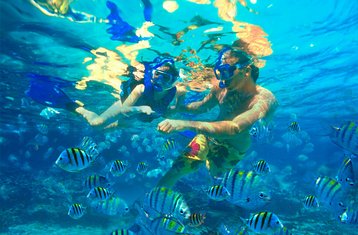 4 Tage Veracruz-Attraktionen-Tour: Besuch antiker Ruinen, Meer und Papantla-Flieger in Mexiko