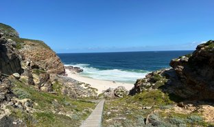 Cape Point Nature Reserve Retreats & Trips