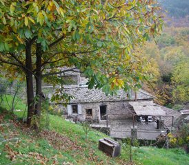 3 Tage Detox durch Yoga und Ayurveda im Herzen der Cevennen, Lozère, Frankreich - Photo 2
