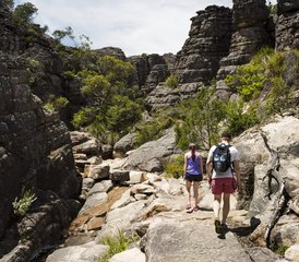 3 Tage Great Ocean Road und Grampians Wildlife Tour in Australien - Photo 5