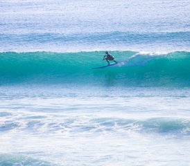 311 días de surf y estancia para niveles avanzados, principiantes e intermedios en Auckland, Nueva Zelanda - Photo 1