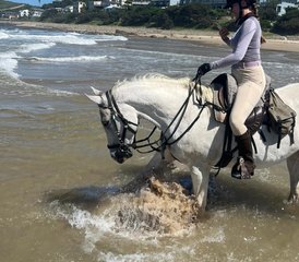 8 jours en stage d’équitation de travail sur la Côte sauvage d’Afrique du Sud - Photo 4
