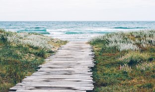 Netherlands Retreats & Trips