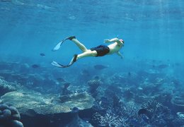 Yoga and Diving Yoga Retreats