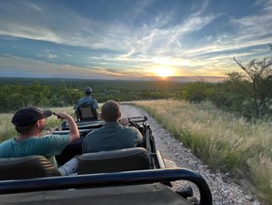 4 Day Orpen to Letaba Bush Camp Safari Holiday in Greater Kruger National Park, South Africa