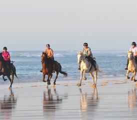 2 Day Mimizan - Contis - Mimizan Horse Riding Holiday in Landes, France - Photo 2