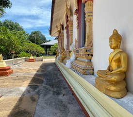 13 Day Wellness and Brain Reset Yoga Retreat in Koh Samui Island, Thailand - Photo 4