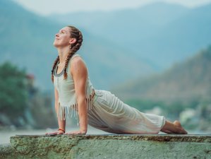 27 Day 200-Hour Ayurveda, Hatha, Ashtanga, Vinyasa, Yin Yoga Teacher Training in Rishikesh, India