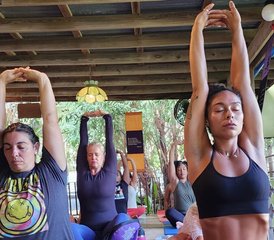 24 días de profesorado híbrido de yoga de 200 horas: en línea y presencial en San Juan, Puerto Rico - Photo 3
