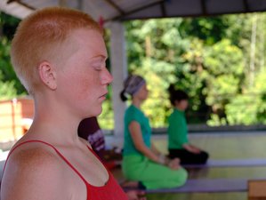 10 Day 100-Hour 8 Limbs Yoga Teacher Training Course in Lekhnath, Gandaki Province