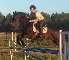 8 Day Teens' Show Jumping, Cross Country and English Training on Aquitaine Atlantic Coast, France - Photo 5