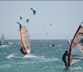 5 días de campamento de windsurf para principiantes en Malmö, Suecia - Photo 5