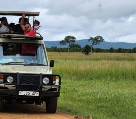 116 Tage Tansania-Safari im Mikumi-Nationalpark und Ruaha-Nationalpark - Photo 1