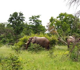 6 Tage Mobile Safari mit Voller Versorgung - Photo 4