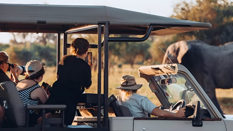 6 Day Triangle Private Safari Tour in Zimbabwe and Botswana 