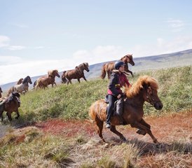 5 Day Trail of Hope Autumn Adventure Horse Riding Holiday in the Northwestern Region, Iceland - Photo 3