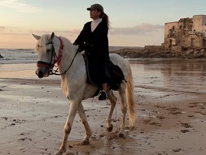 8 Day Morocco Horse Riding Tour: Atlantic Coast to Ait Ben Haddou & Marrakesh 