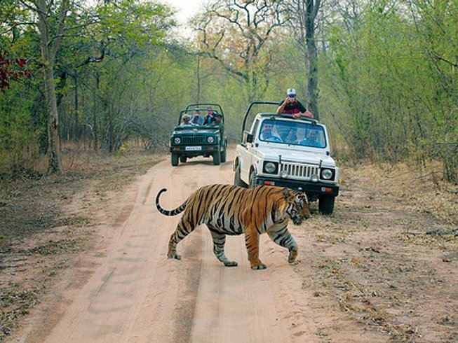 2 Days Ranthambore Jungle Safari In Rajasthan, India - Bookallsafaris.com