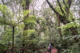 7 Day Kilimanjaro Trekking Tour Via Marangu Route in Tanzania