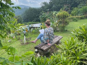 28 Day Ayurvedic Rejuvenation Retreat in Kerala, India