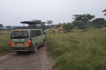 9-Tage Wildtier- und Gorilla-Safari in Ruanda und Uganda