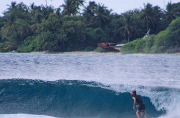 5 Day Mikado Farms and Finnimas All-Level Surf Camp in Thimarafushi, Central Atolls, the Maldives