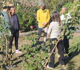 7 Day Silent Retreat in Dörttepe, Turkey - Photo 3