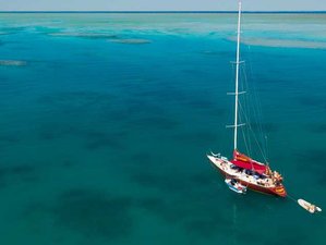 5 Day Adventure Hiking, Yoga, Snorkeling and Sailing Trip in Whitsundays, Queensland